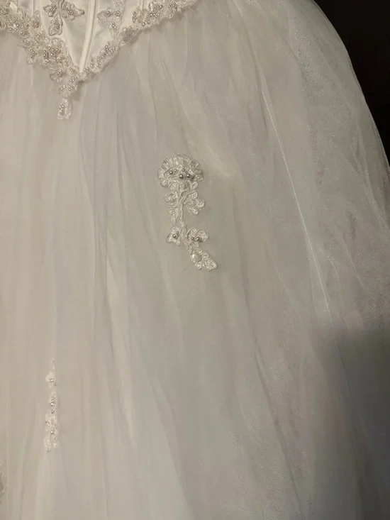 David’s Bridal Ballgown Wedding Dress - Picture 5 of 16
